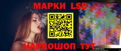 шишки Будённовск