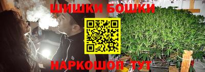 шишки Будённовск