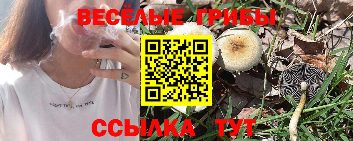 Псилоцибиновые грибы мухоморы Тавда